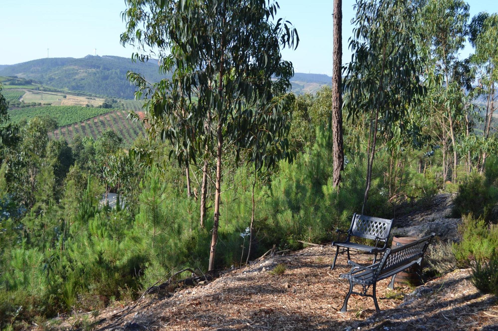Villa Mountview à Alenquer Extérieur photo